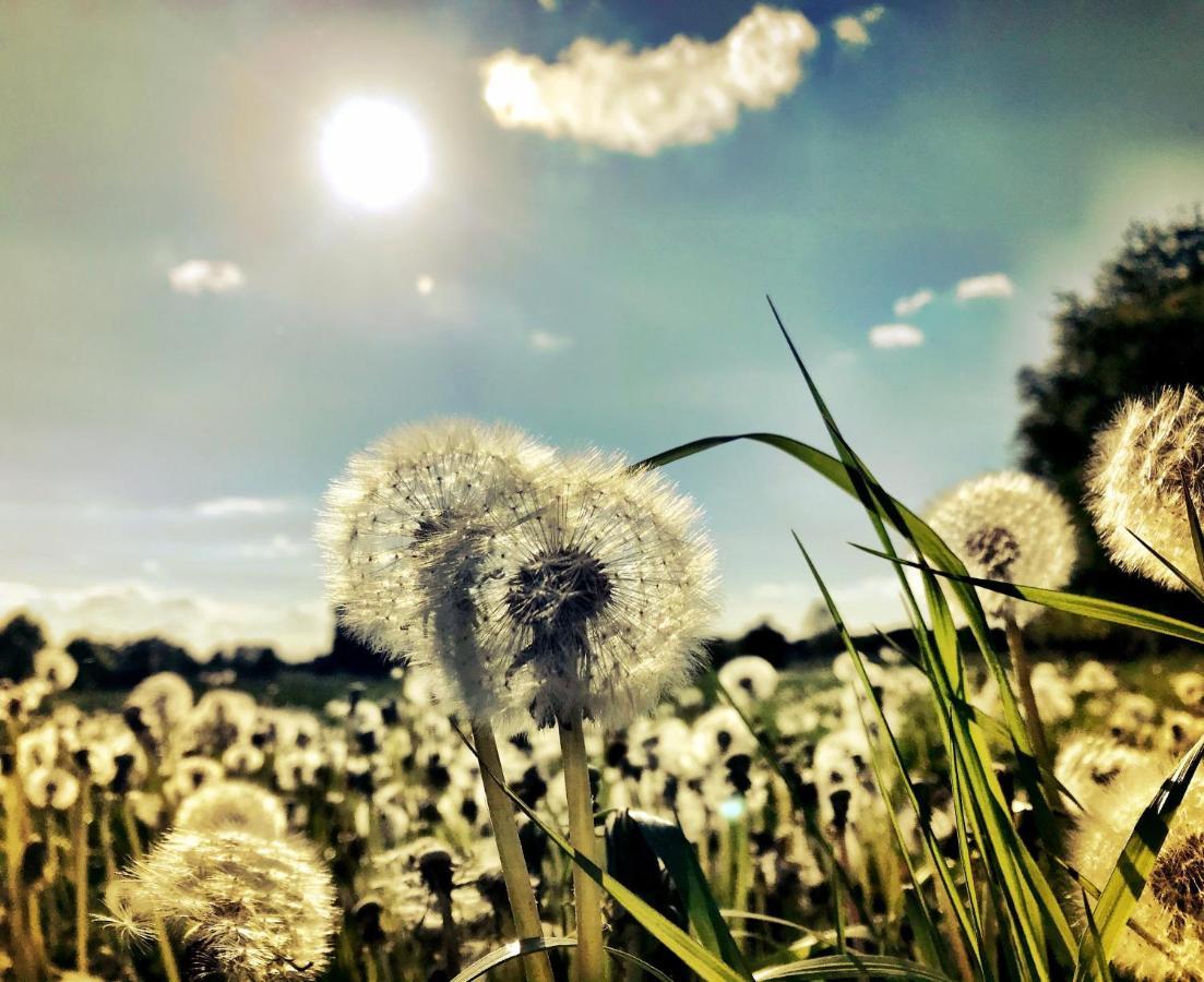 Auszeit Am Moor * Duvensee