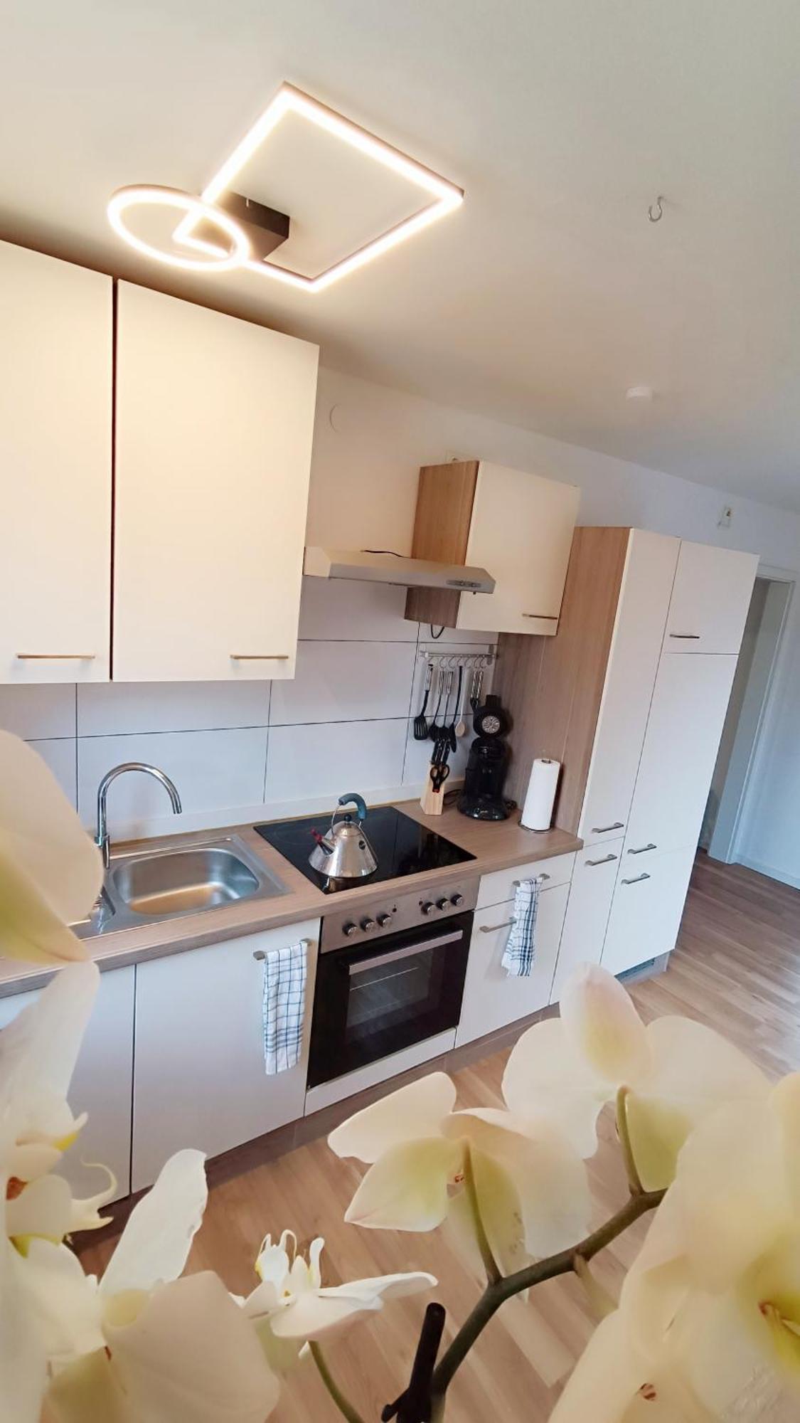 Auszeit Am Moor Apartment